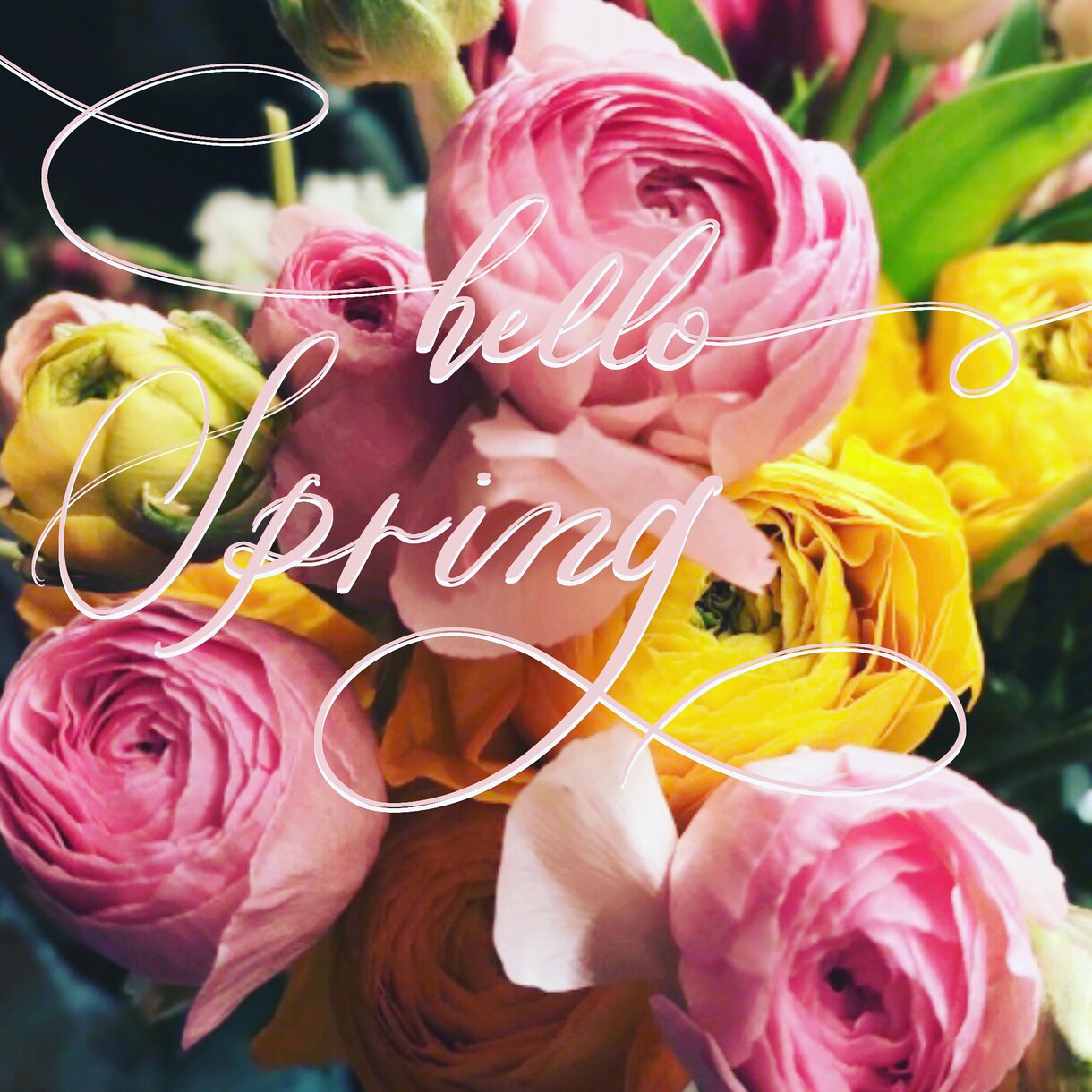 写真に文字入れします カリグラフィーで素敵な画像に！表紙、ポスター、グッズ制作に イメージ1