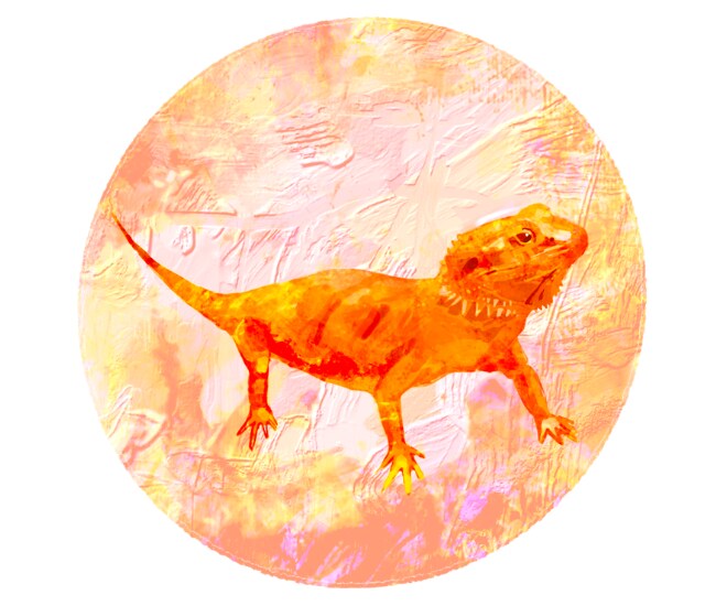 優しく印象に残る『動物アイコン』をお描きします 【日芸卒・受賞歴あり】魚や虫もOK！個性あふれるアイコン✨ イメージ7