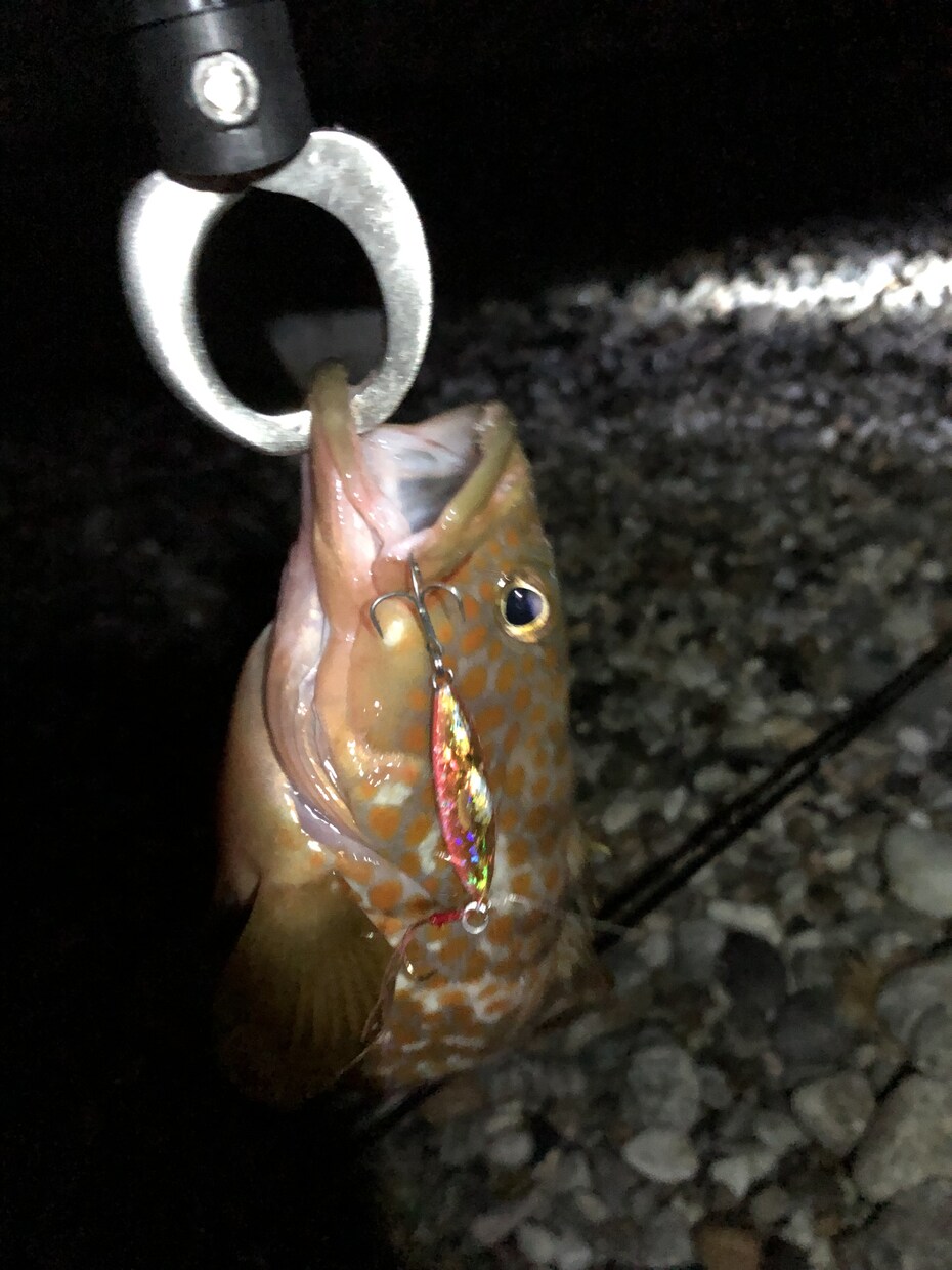 超【初心者限定】海釣りの始め方を教えます 海釣りを通して心も身体もリフレッシュしませんか？ イメージ7