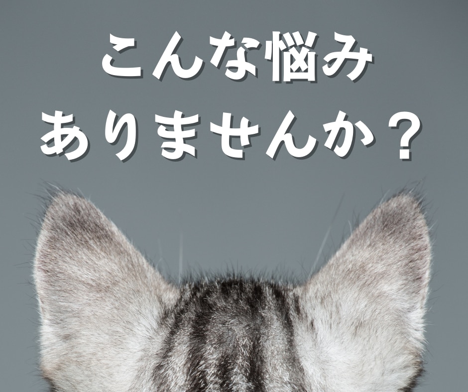 ネット副業を成功に導くオーダーメイドコンサルします 初心者でも稼ぐための力と戦略が手に入る！販売自動化も可能！ イメージ2