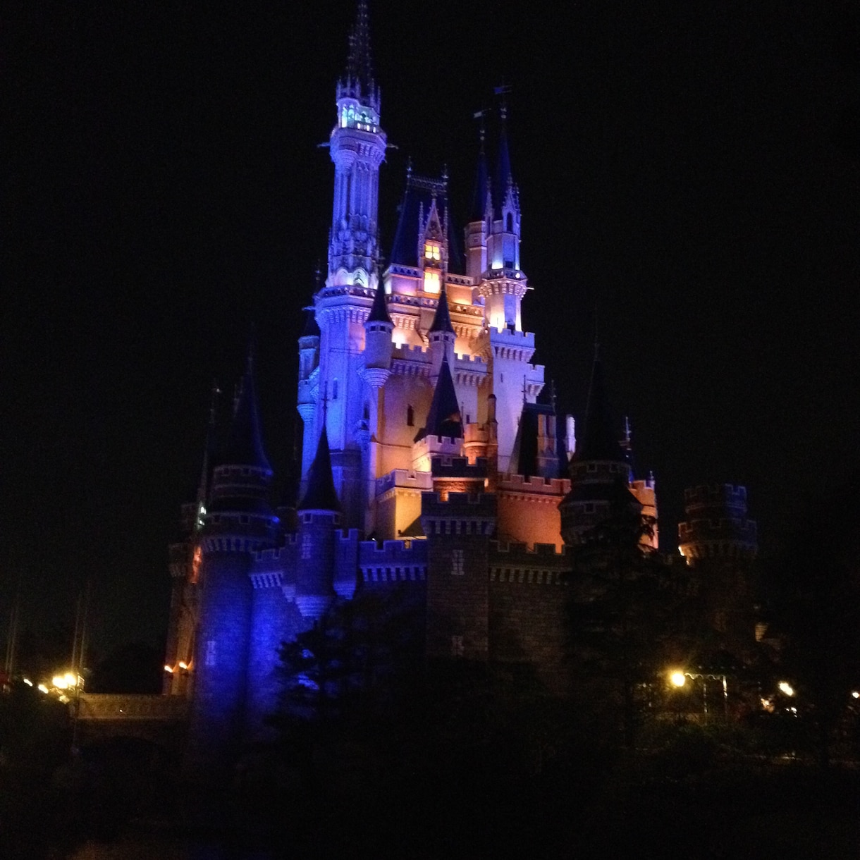 東京ディズニーランド滞在プランを考案致します イベントプランナーがあなたの旅をサポート‼︎ イメージ3