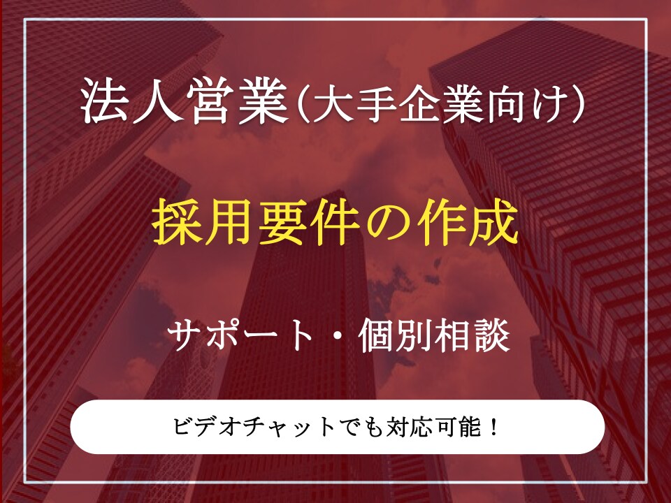 大手企業向け営業職の採用要件を作成します カスタマーサクセスやマーケティング領域でもご提案可能 イメージ1
