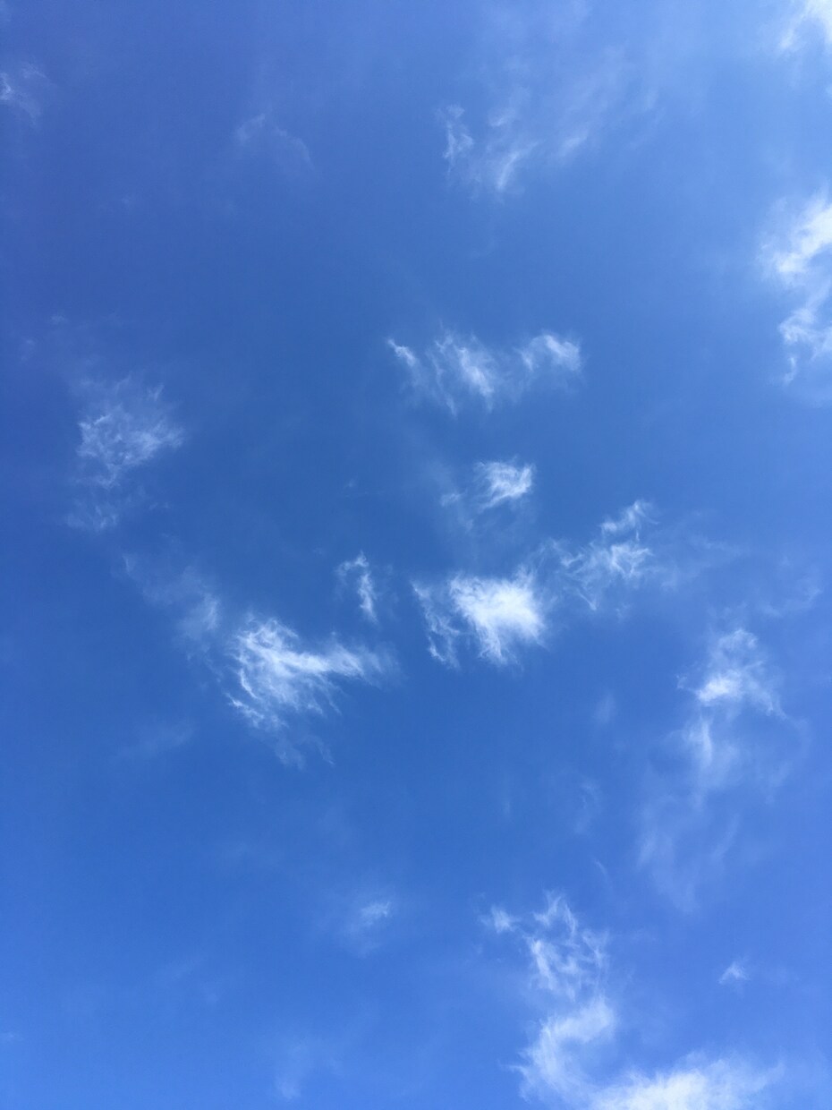 心がふわっとほどけるワードで占います オラクルと数秘で今のあなたに必要なメッセージを届けます♡ イメージ1