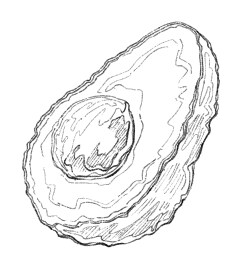 繊細で美しい小物の線画イラストを作成します 食べ物・花・小物のご依頼承ります。 イメージ4