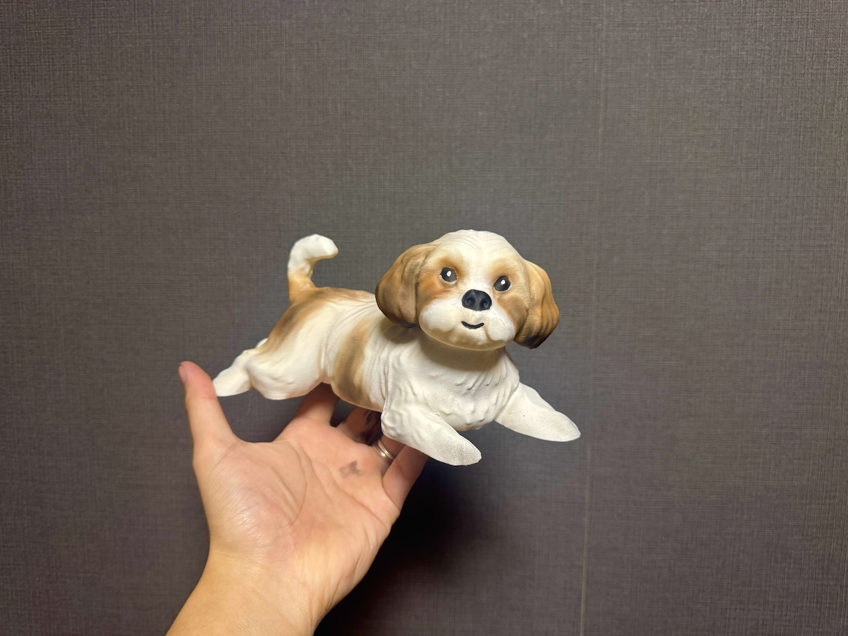 ペットを3Dプリントします 3Dプリンターでペットをプリントします イメージ2
