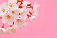 第一印象を良くしたいとお考えの方へ。接客業を28年勤めてきた立場からのアドバイスをいたします。 イメージ1
