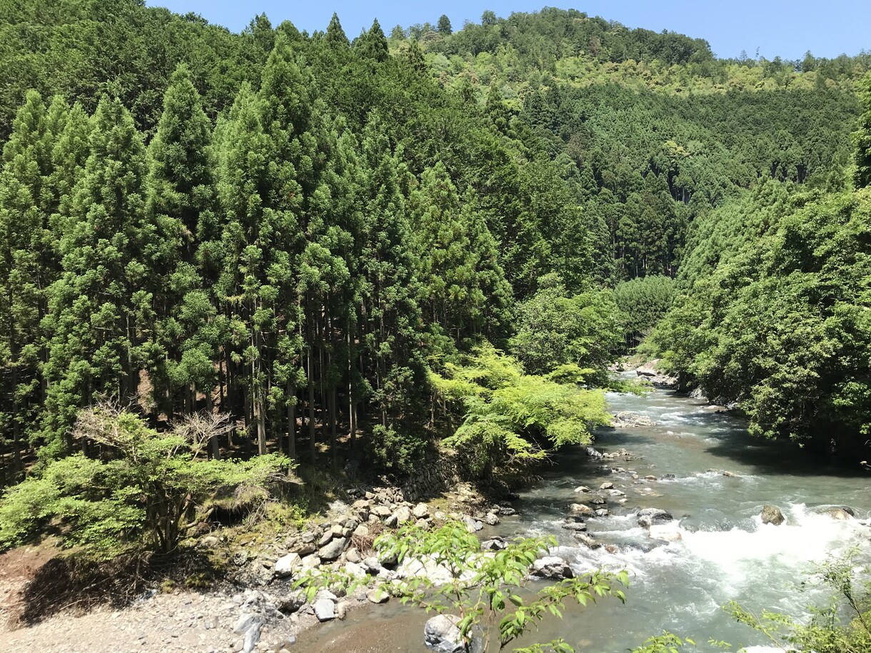 感覚を拓く対話、Sensingセッションをします お話しながら、本来の感覚を整えていきます。 イメージ6