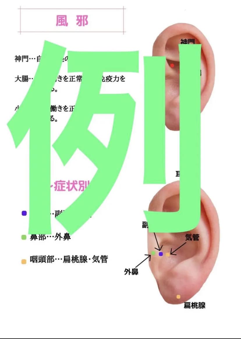 あると便利！27症状別耳つぼマップ教えます 耳つぼで自律神経などのあらゆる症状を緩和！ イメージ4