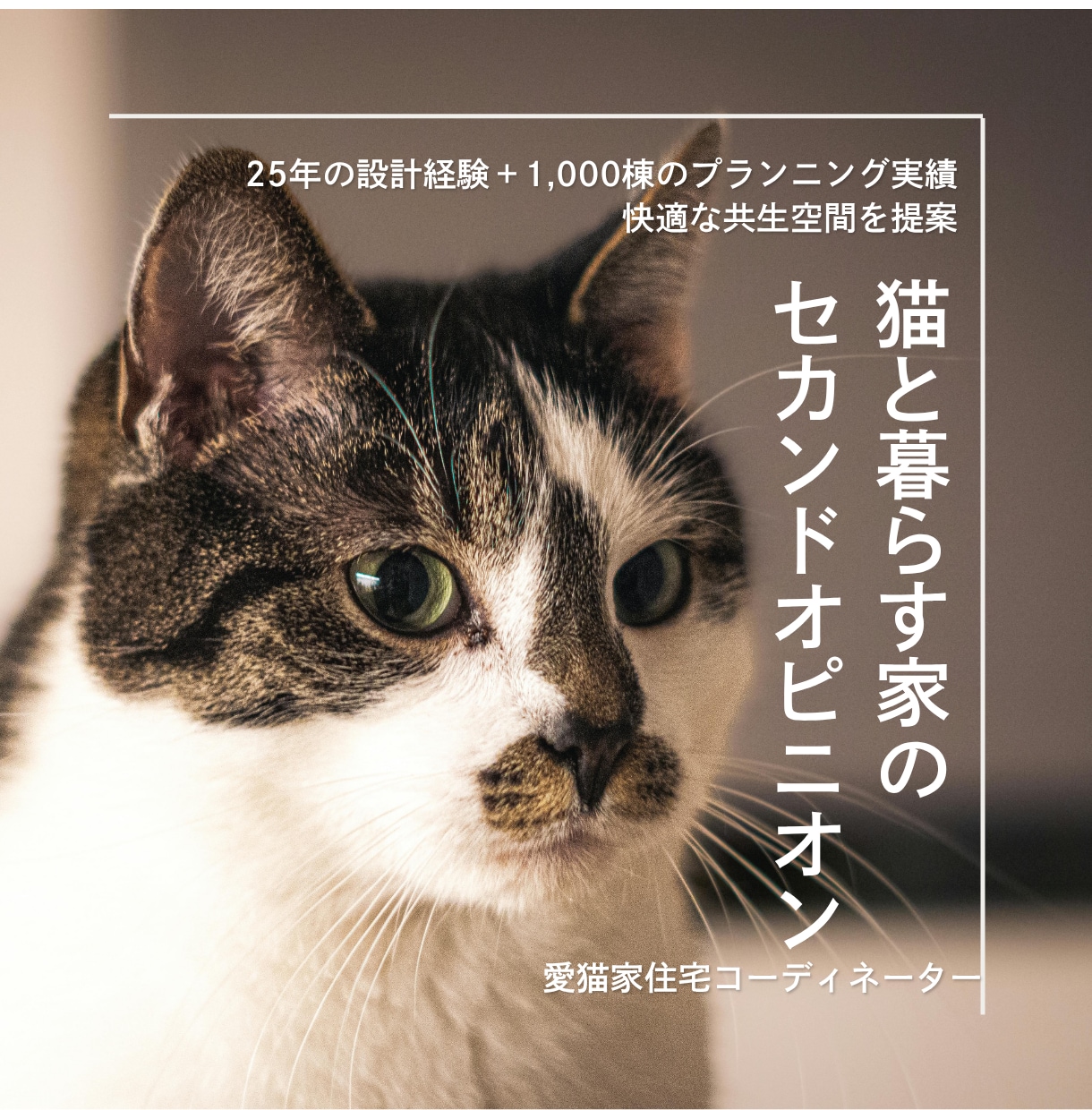 猫と暮らす家｜建築士が理想の間取りを添削します 猫も人も快適に。動線・日向・隠れ家を建築士が設計目線で診 イメージ1