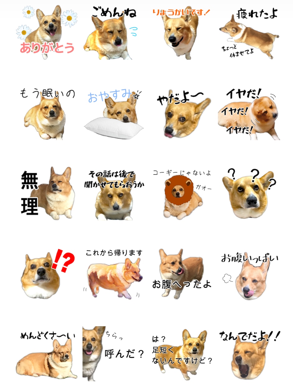 あなたのワンちゃんのLINEスタンプ作ります あなただけのオリジナルLINEスタンプ イメージ2