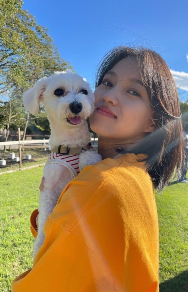 愛犬との暮らしを楽にする提案します 思い悩んでしまう前に一度相談しませんか？ イメージ1