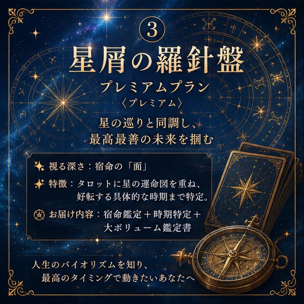 タロット/霊視【星屑の羅針盤】星の航海図を造ります プレミアムプラン― 星の巡りと同調し最高最善の未来を掴む ― イメージ2