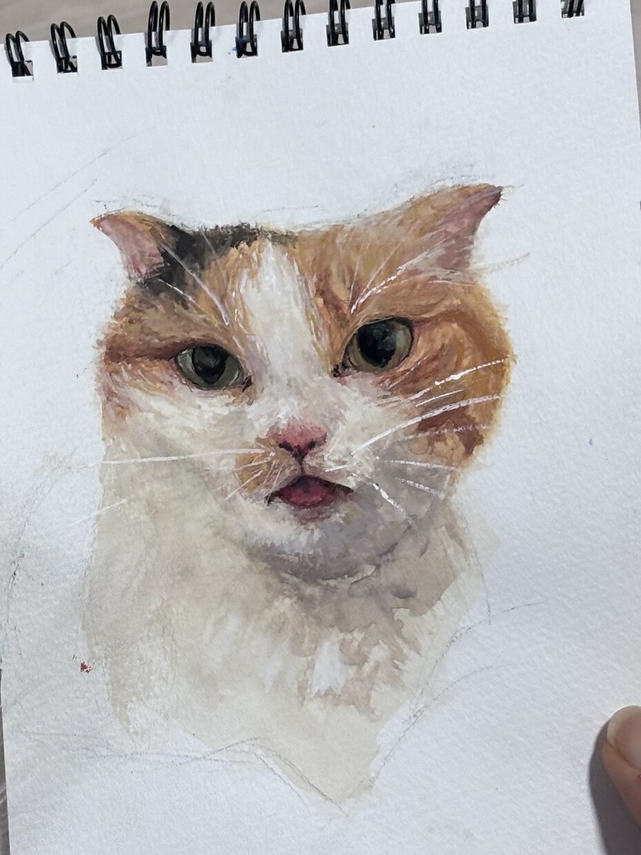 写真そっくりのイラストを描きます あなたのペットや好きな動物をアートにしてみませんか？ イメージ2