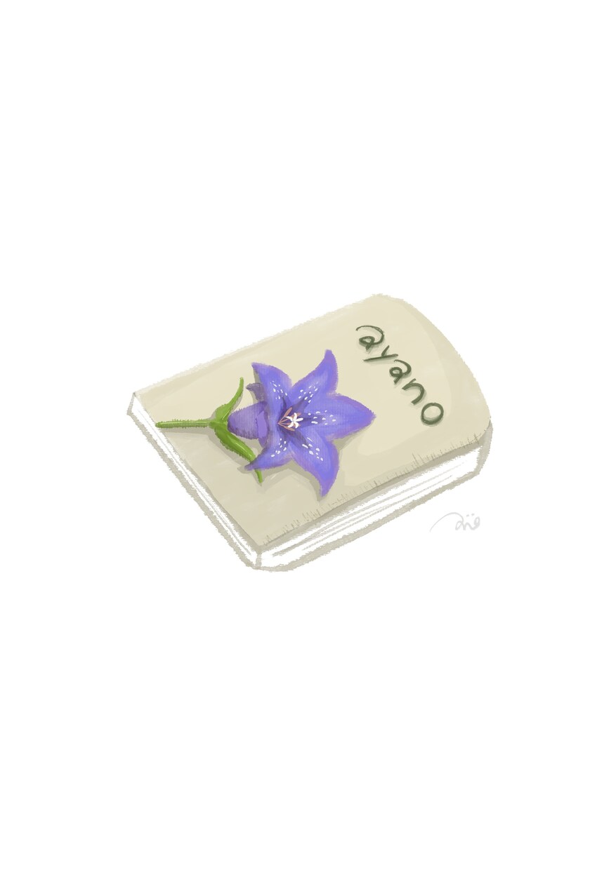 ふんわり繊細な花のイラスト描きます、添えます 商用利用可◎挿絵・アイコンなどに イメージ4