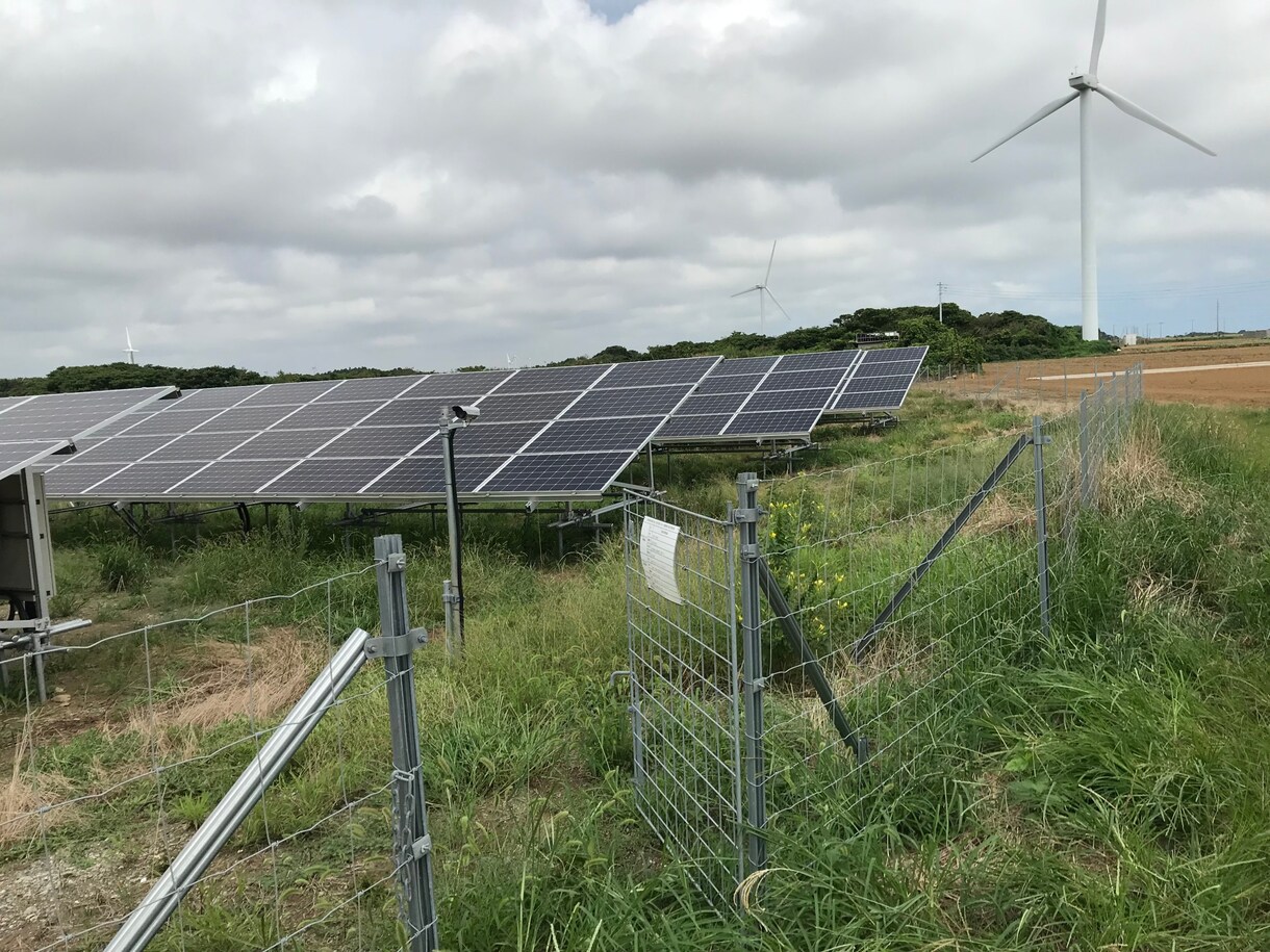 産業用低圧太陽光発電所の除草作業を行います 年3回、都度写真報告付きなので安心です イメージ4