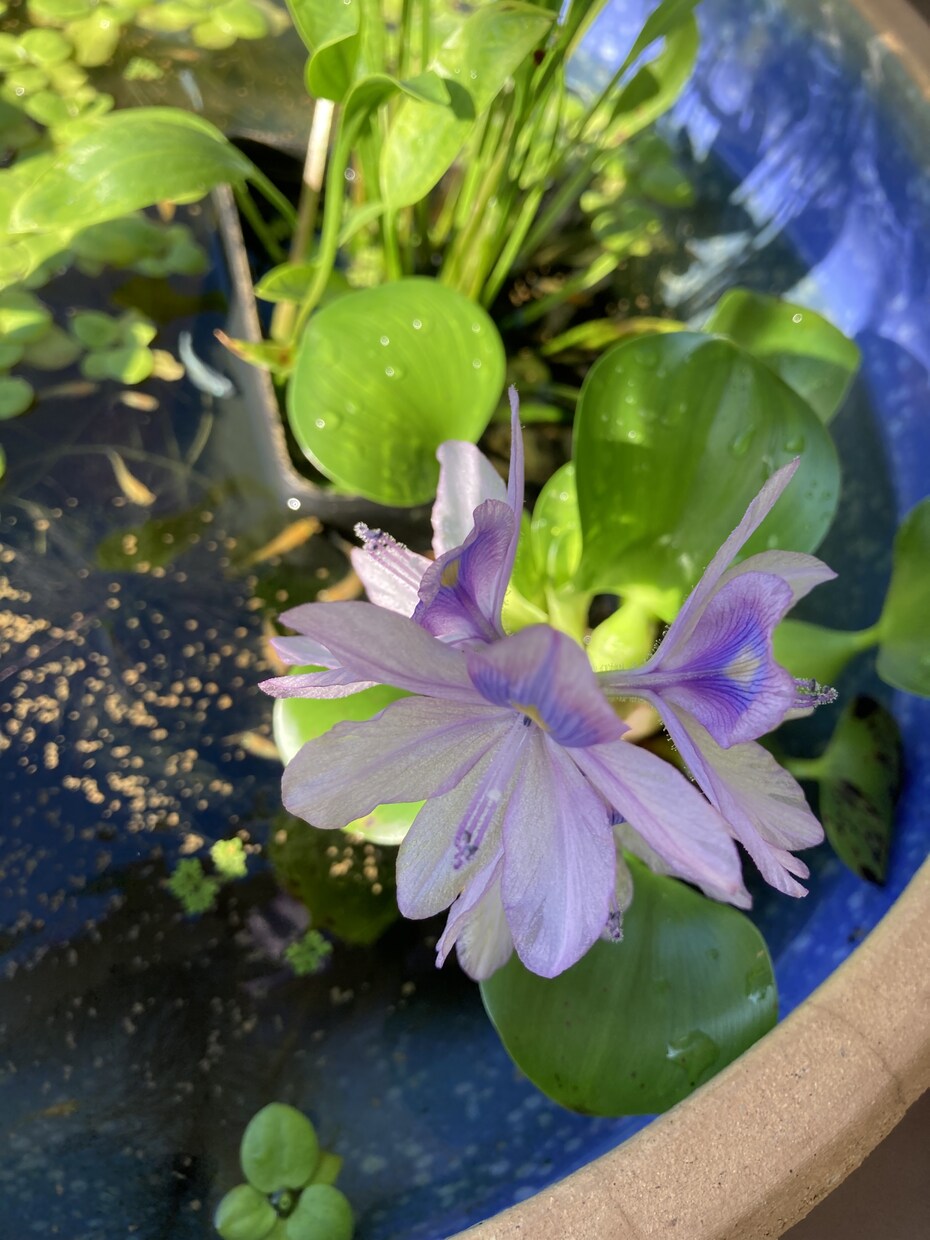やらないといけないことをやった時に褒めます お互いにやらないといけないことが出来たら褒め合いましょう イメージ1