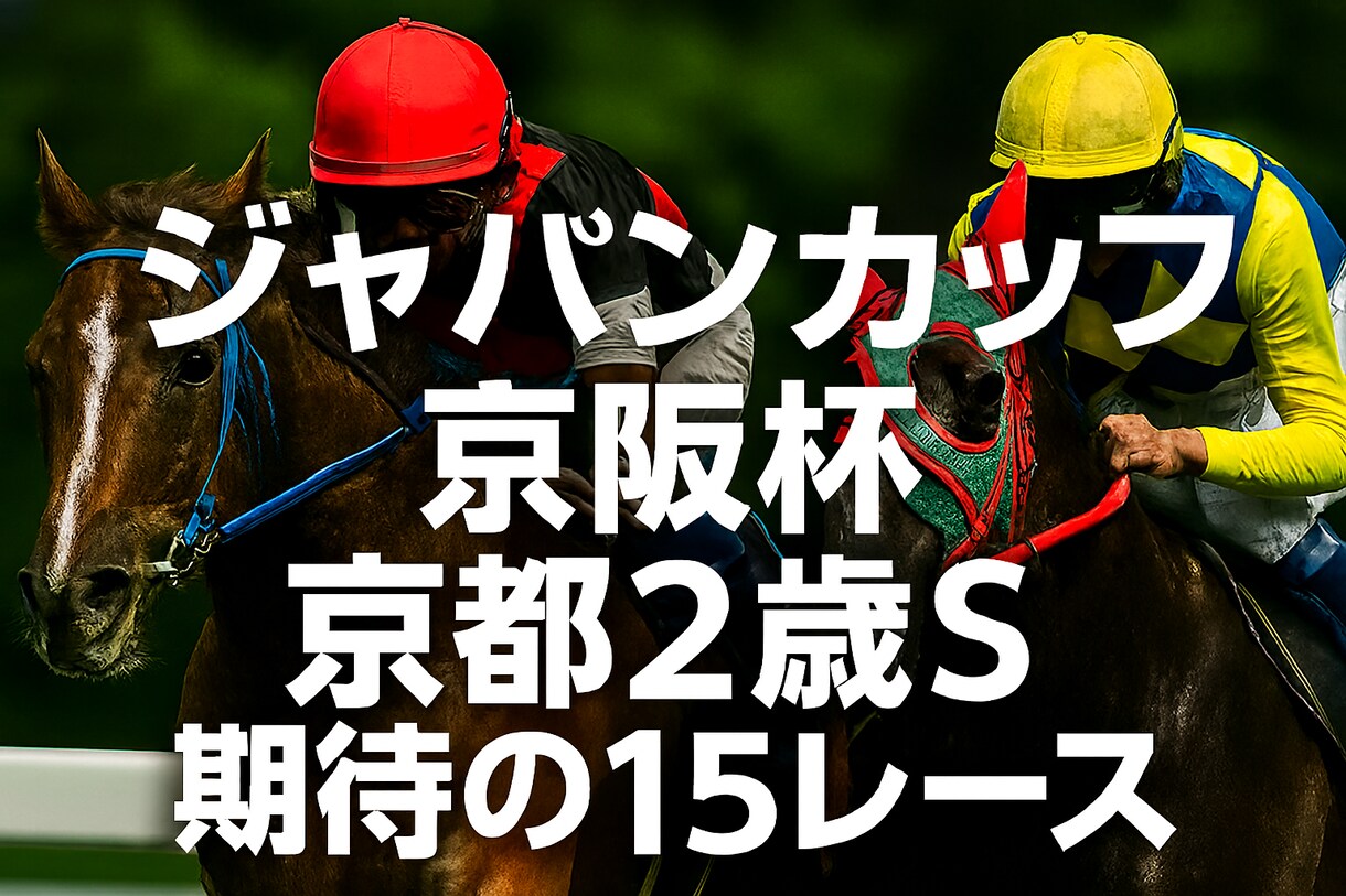 11月180%回収率❗️JCなど１５レースします 土日中央競馬特別戦から重賞レース予想❗️ イメージ1