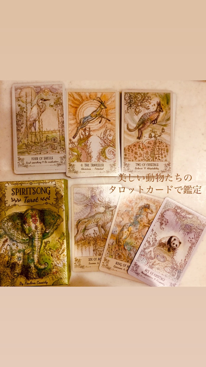相手の気持ちを美しい動物たちが教えます タロット占い❁相性や関係を詳細に読み解きます イメージ1