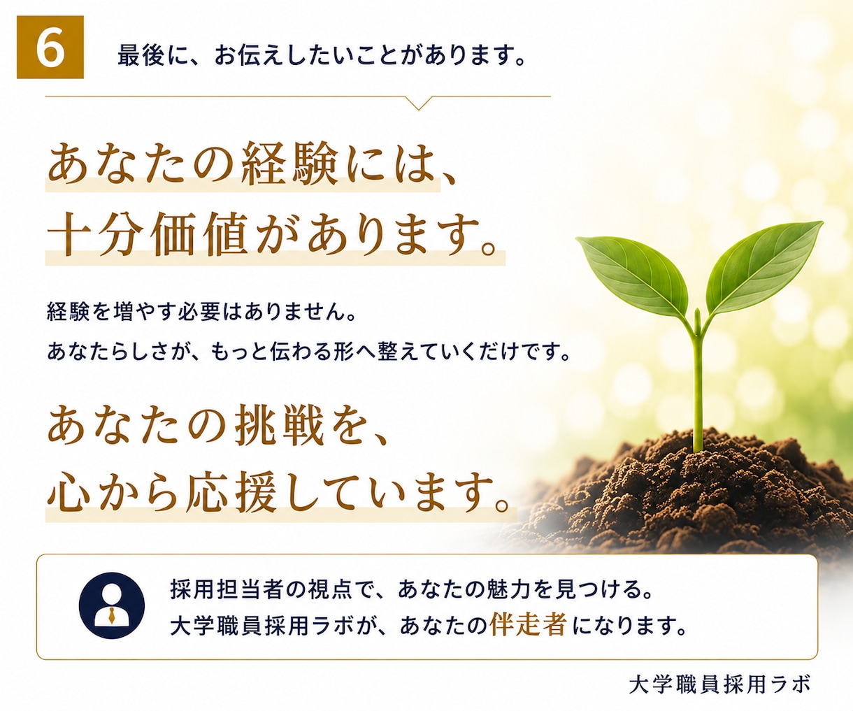 現役採用担当がＥＳ(エントリーシート)を診断します 採用担当者の視点で、あなたの魅力を見つます イメージ6