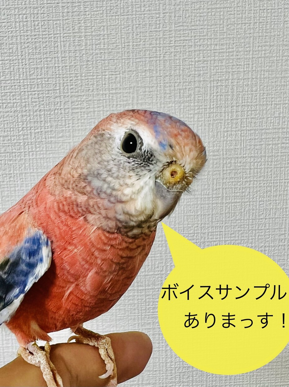 関西弁セラピストがあなたの笑顔再生屋さんになります 今日がどんな日でも　愚痴でも悩みでも不安でも　独りやないで✨ イメージ2