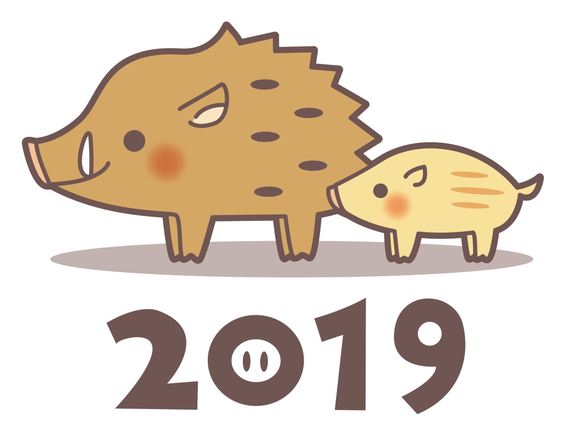 2019年の運勢をマナカードで鑑定致します 2019年の運勢や流れが気になるあなたへ イメージ1