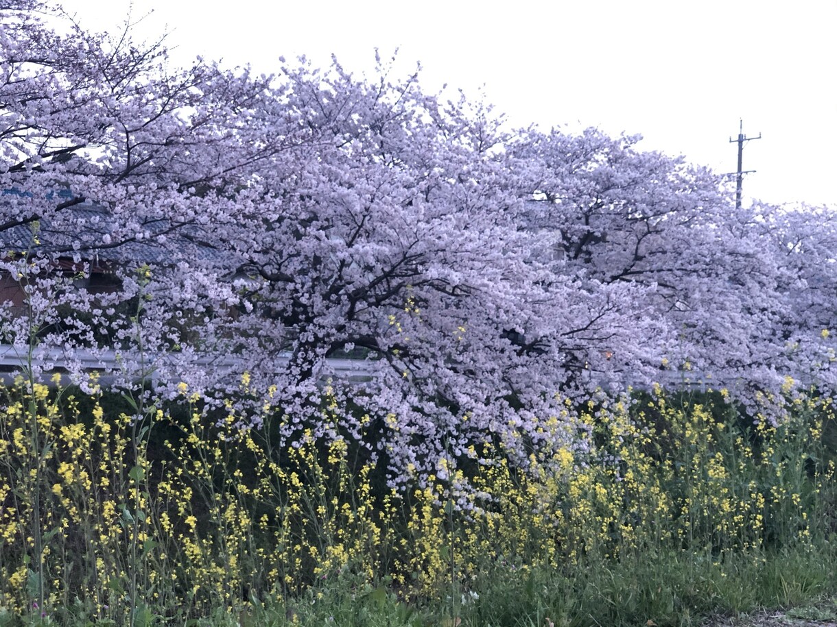 どんな小さな事でもお聞きします あなたの些細な事何でも聞かせてください＾＾ イメージ1