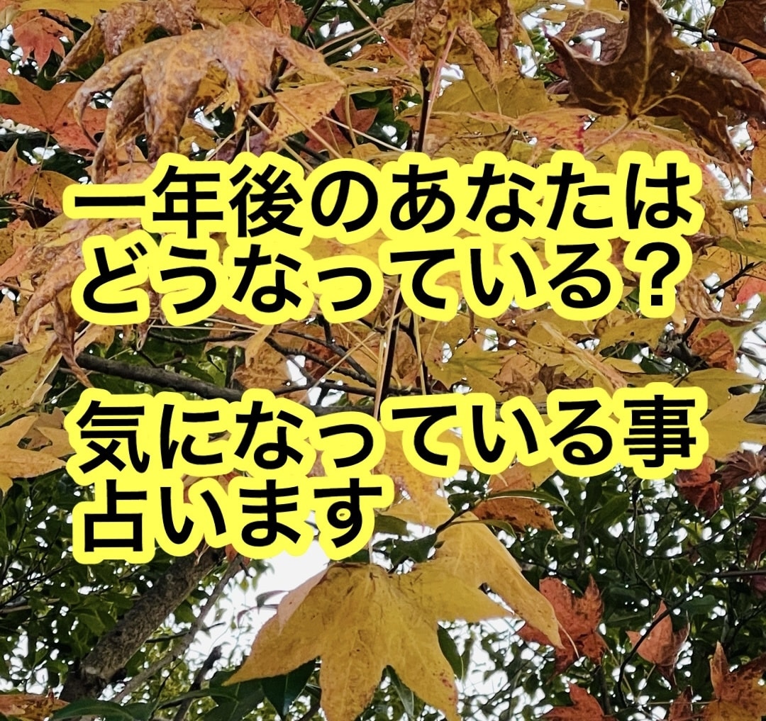一年後のあなたをタロットで占います 何の件の一年後を知りたいのか教えてください イメージ1