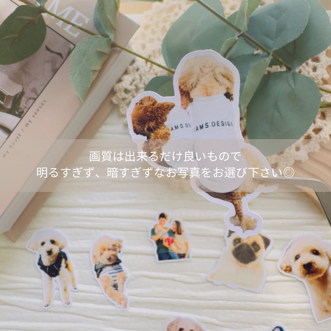 世界に一つだけ！オリジナルフレークシール作ります お写真を送るだけ！大切なご家族がシールになっていつも側に。 イメージ2