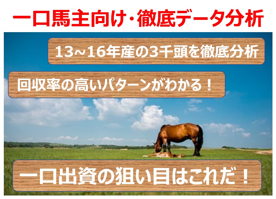 一口馬主向け！３千頭のデータ分析結果を提供します 勝ち上がり率・回収率が高いパターンが分かります！ イメージ1