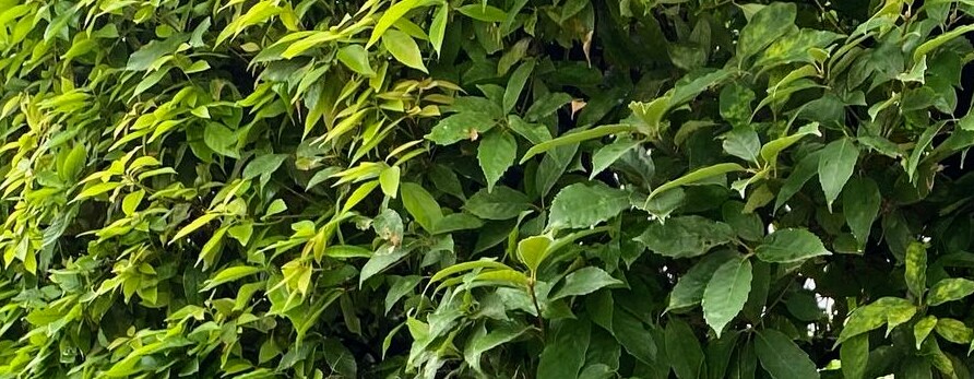 産後２ヶ月後に夫に不倫された私がお聞きします 一人で悩み、抱え込まないで。精一杯お聞きいたします。 イメージ1