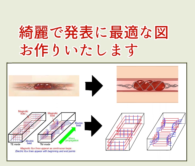 資料、発表で使う図をお望みの絵柄で作成します 資料で図をつけたいけれど絵柄やイメージする色が合わない時など イメージ1