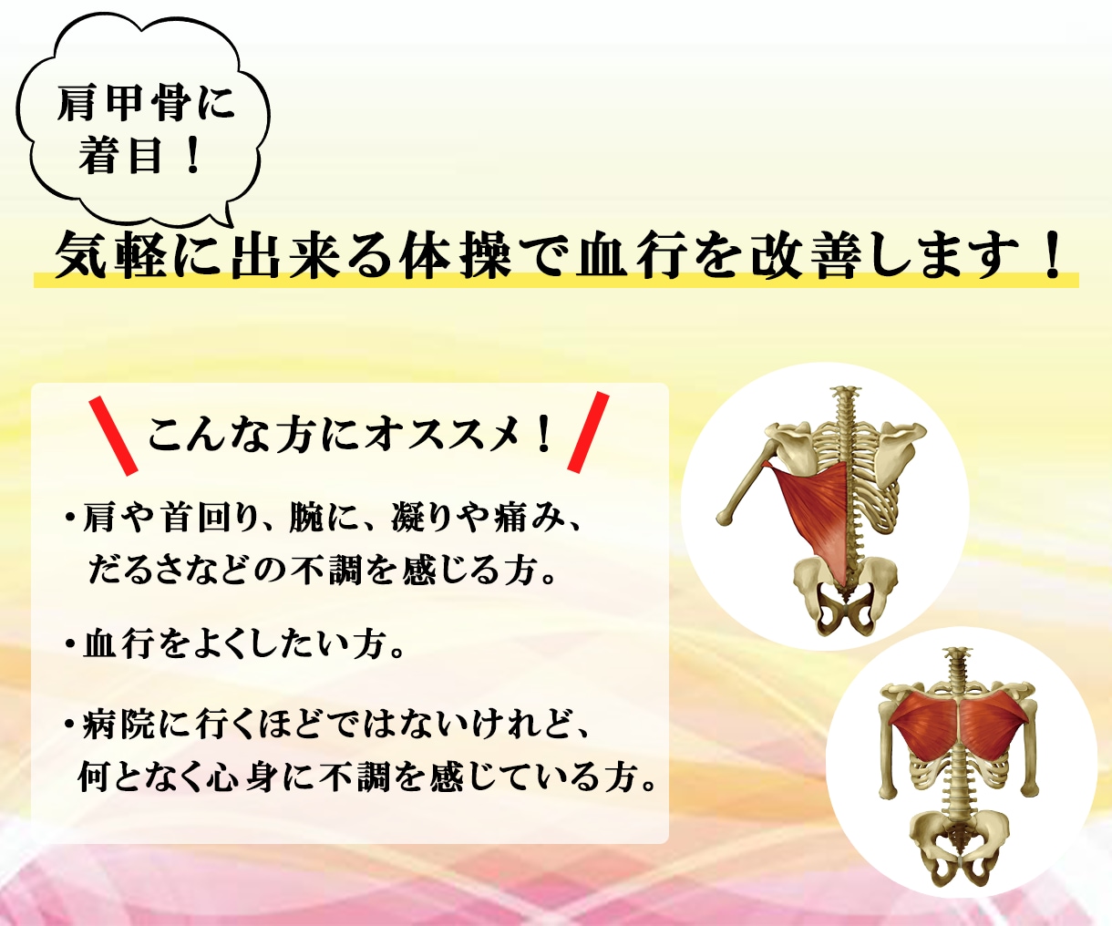 肩甲骨に着目！ 気軽に出来る体操で血行を改善します 肩や首周りに不調がある方向け！同じ悩みを経験したPTが提案 イメージ1