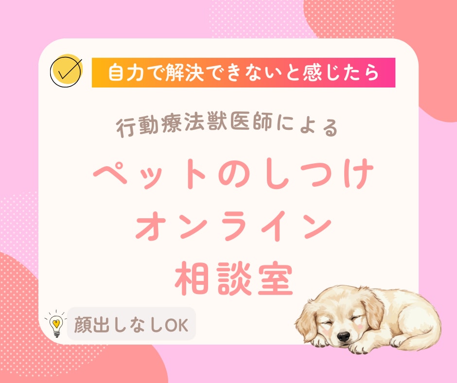 行動専門獣医師が犬猫オンラインしつけ相談します 顔出しなしOK│犬猫のしつけから問題行動まで相談できます イメージ1