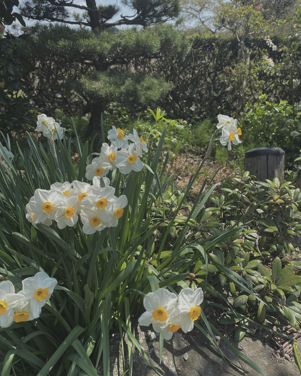 普段そとで言えないことなどなんでも聞きます 私はゲラなので元気が出ますよ︎^_^ イメージ1