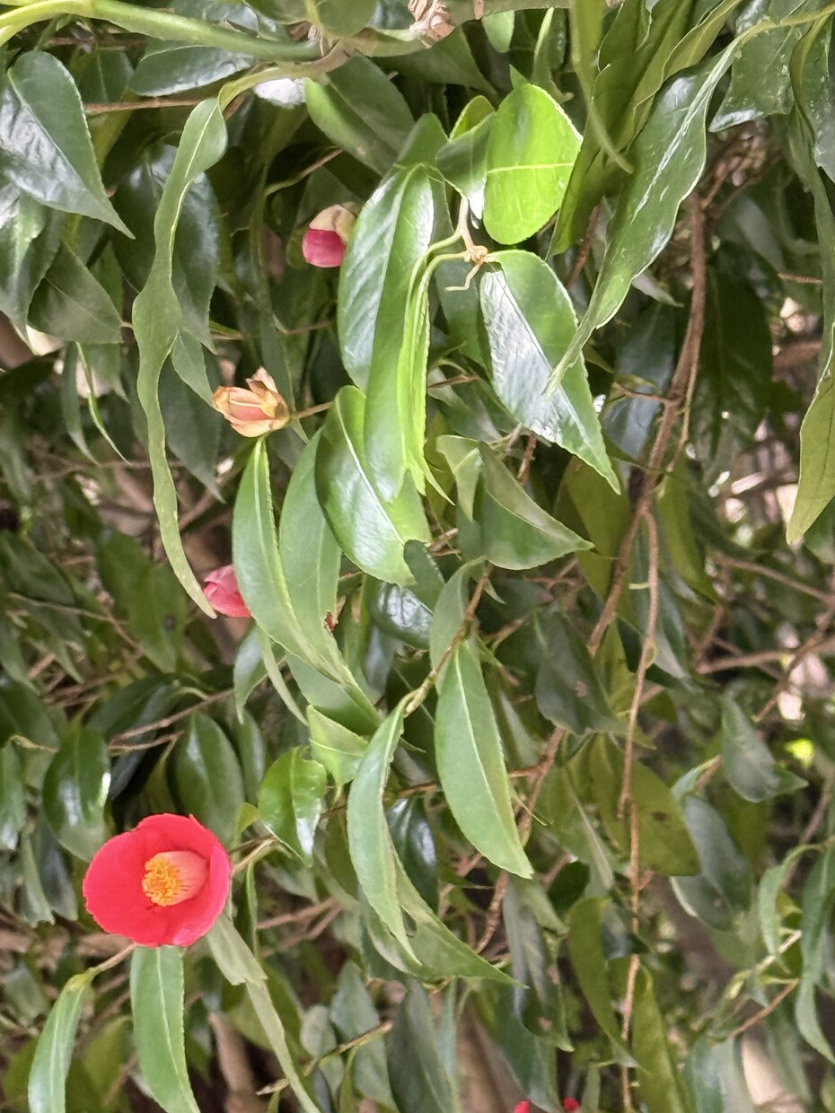 癒しの写真に心に響く詩をつけます Be happy。誰もが抱く夢と希望。ありのままを探して。 イメージ1