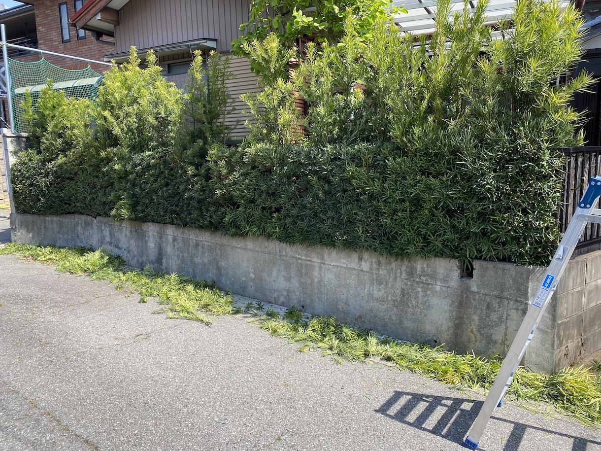 お家のお困りなんでも解決致します お家での困り事の力にならせて下さい！ イメージ5