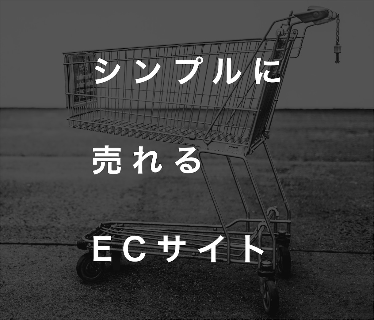 ShopifypatnerがECサイト制作します 【成功するECサイト運営チェックシート無料プレゼント】 イメージ1