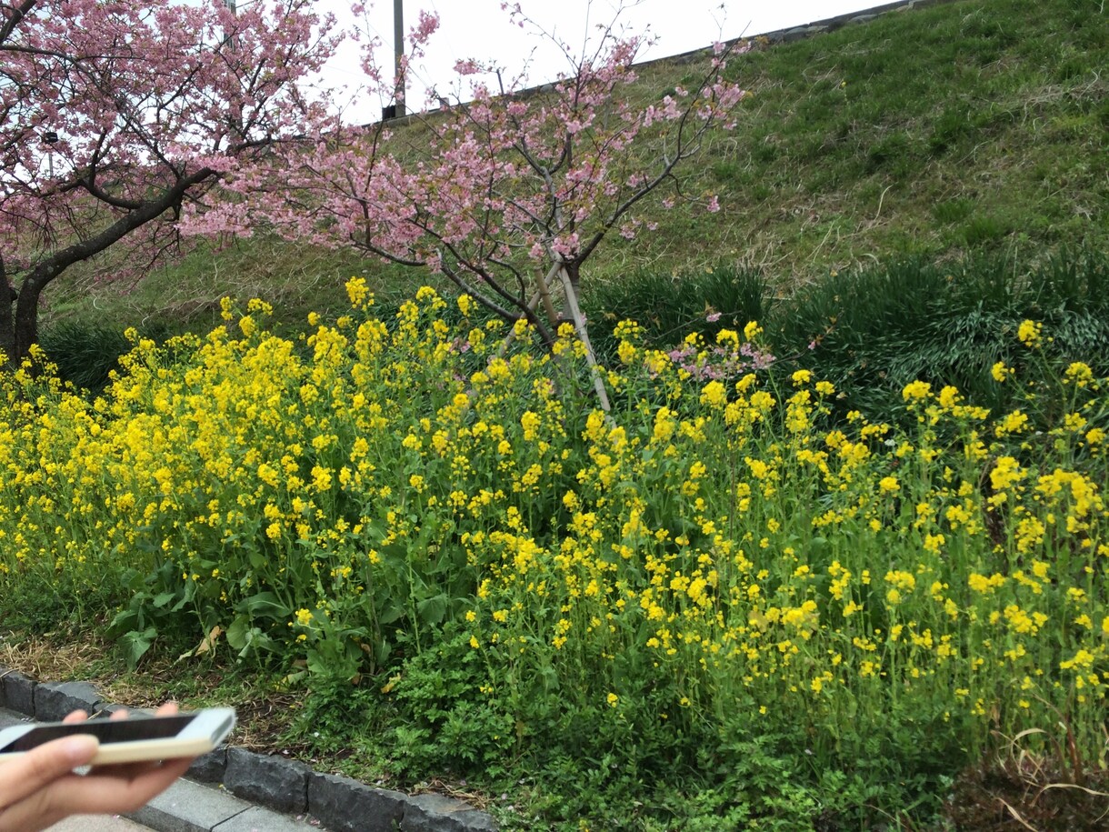あなたの恋愛相談にのります 人に言えない話もなんでも聞きます！ イメージ1