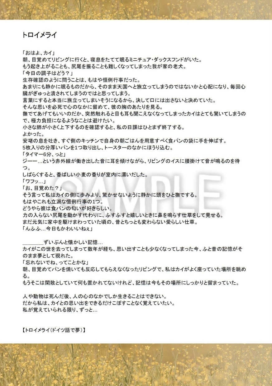 貴方だけの短編小説を執筆、小さなお話でも形にします 大切な人や物を思い出せる、優しくて柔らかな文章に仕上げます。 イメージ2