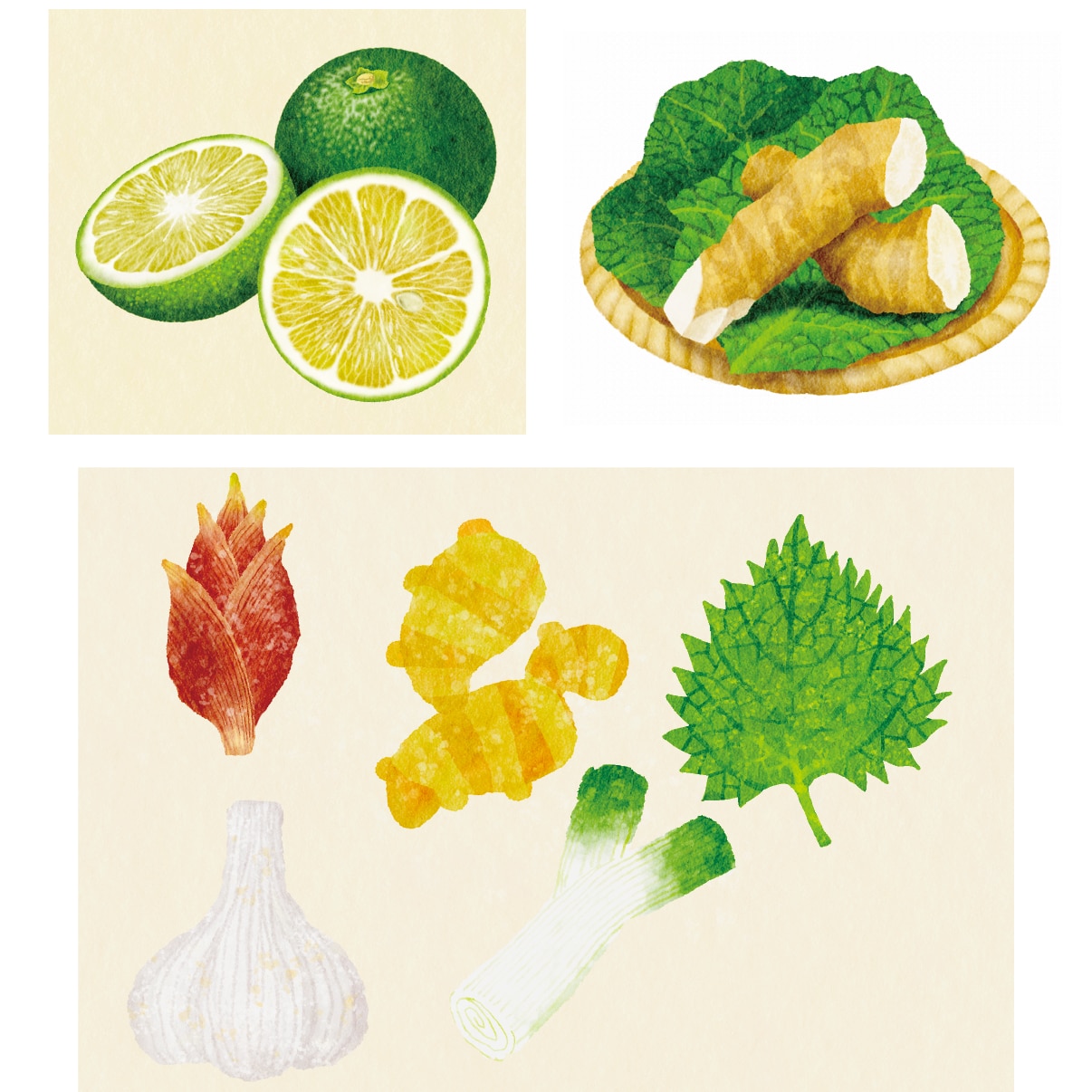 食品・静物の水彩風リアルイラスト描きます パッケージや販促用品、webなどの用途にご活用ください。 イメージ7