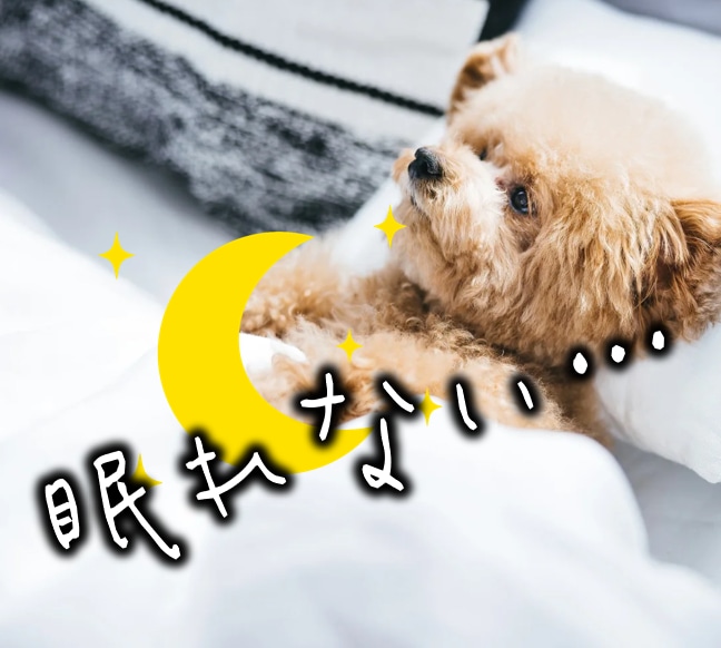 不眠症◆不安・緊張などで眠れない夜はお話します 雑談◆話し相手◆癒し◆安眠◆眠れるまでお話しいたします❤ イメージ1
