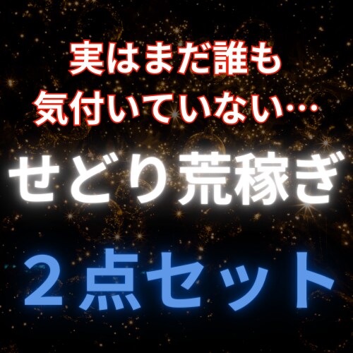誰も気付いてない！穴場のせどり手法を伝授します 誰も気づいていないせどり手法２点セット イメージ1
