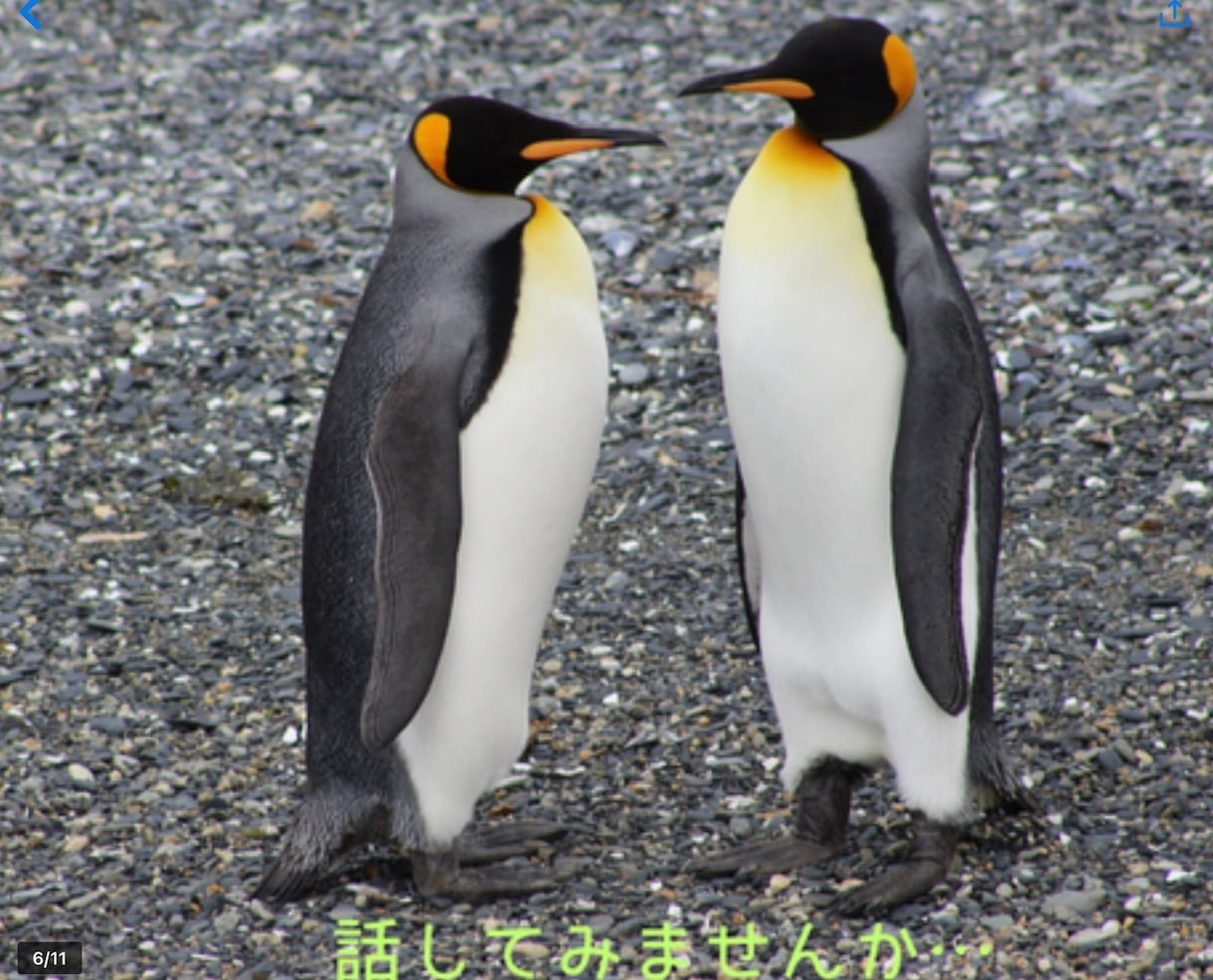独身男性おともだち★として優しくお話お聴きします 【愚痴・雑談・モヤモヤ】ちょこっと話したいさ〜ん❗️大集合♡ イメージ4
