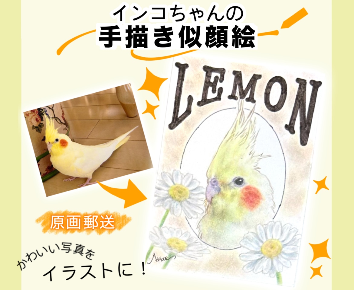 ペットのインコちゃんの似顔絵イラスト作成します ポスター風でリアル調なイラスト/どんな飼い鳥さんでもOK イメージ1