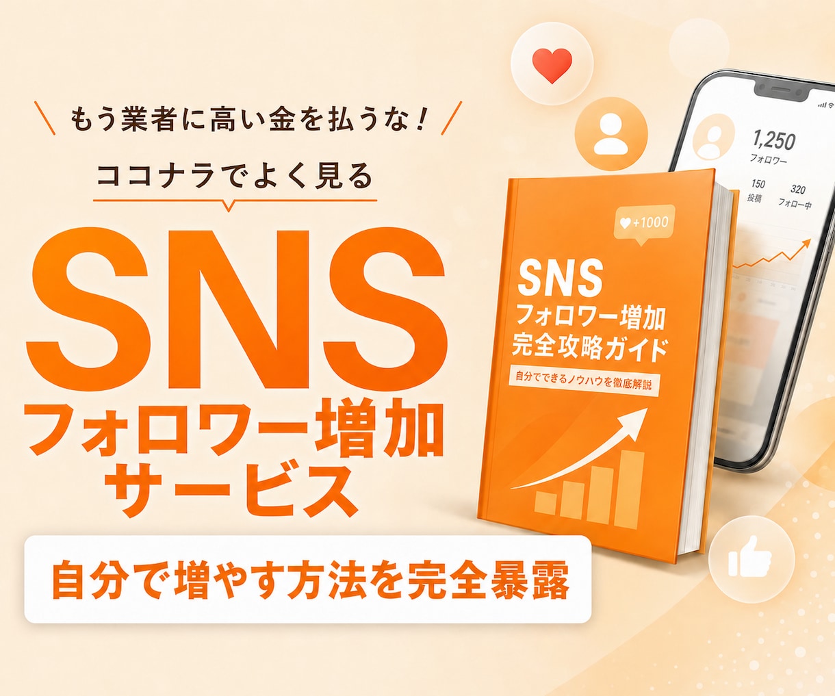 SNSのフォロワーを増やすサービスの裏側を教えます 業者からのフォロワー購入は損！外注せずに自分でやりませんか？ イメージ1