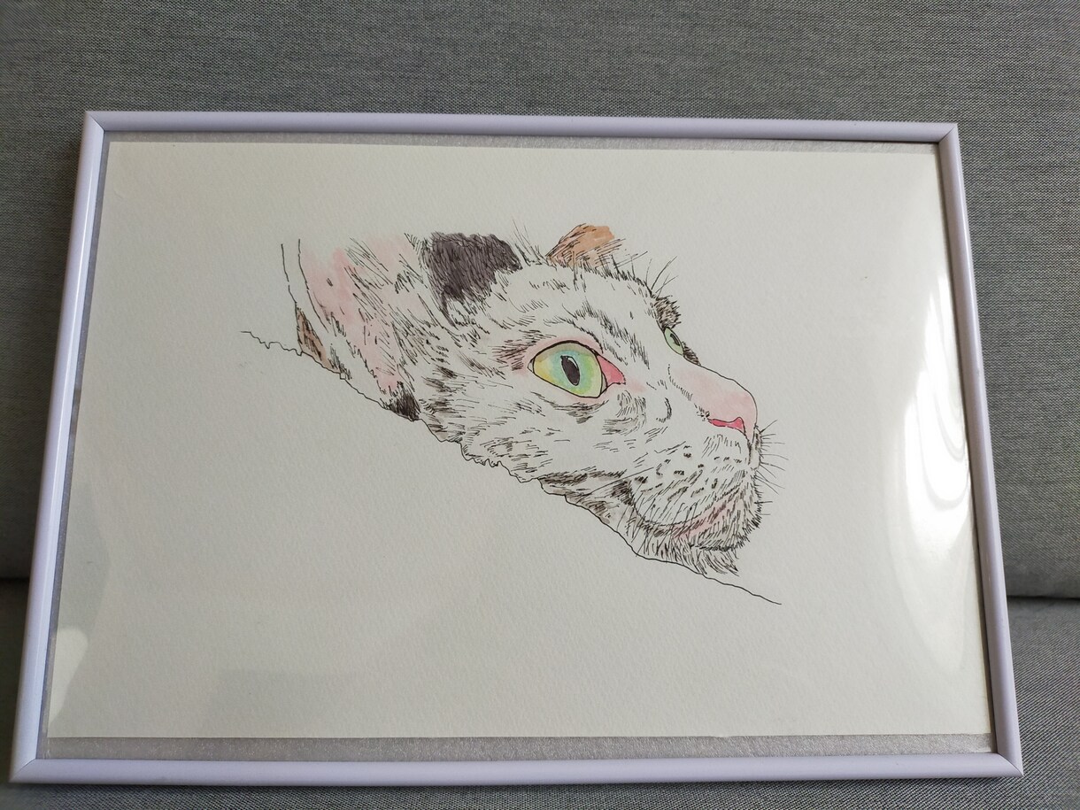 ペットのイラストを製作します 愛猫の水彩イラストを製作します半額キャンペーン中！ イメージ3