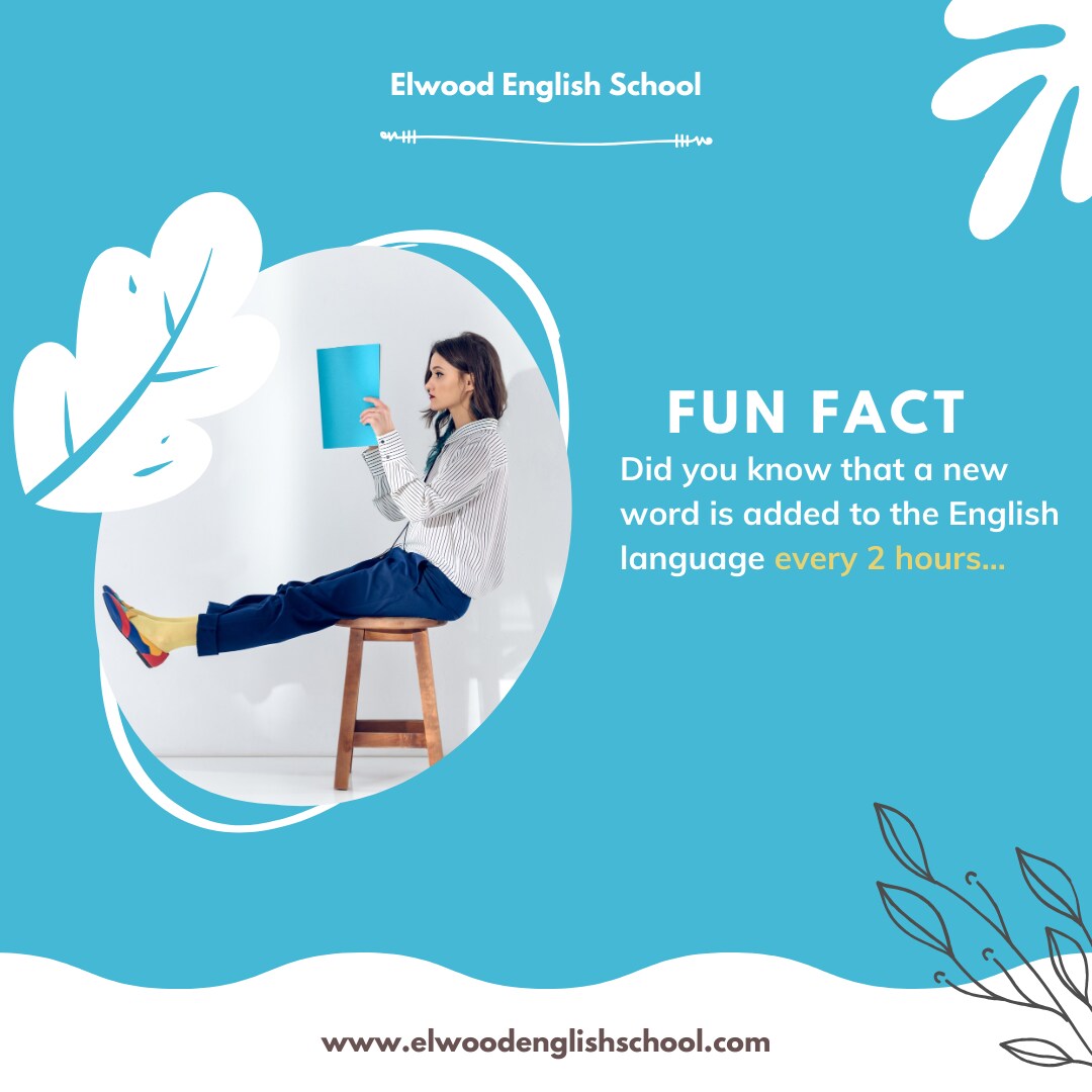 英語/海外向けSNS運用代行いたします Instagram,Facebook,TikTok他 イメージ3