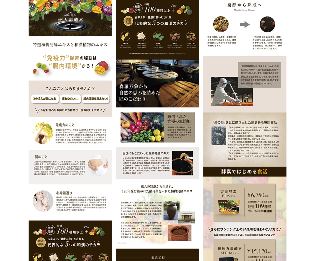 SNS広告から世界観センス重視のLPやEC作ります 商品やサービスをおしゃれに拡張・洗練度UPの抜け感あるサイト イメージ6