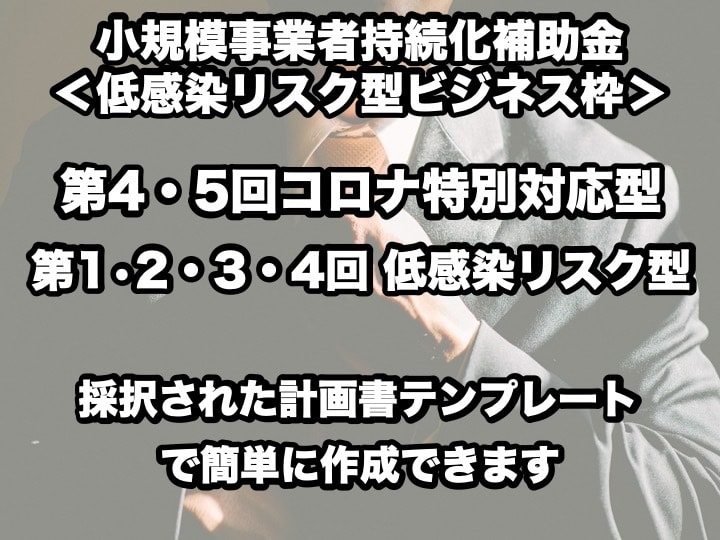 エステ機の導入＊持続化補助金の計画書が作れます 採択済テンプレート》低感染リスク型ビジネス枠で作成できます！ イメージ1