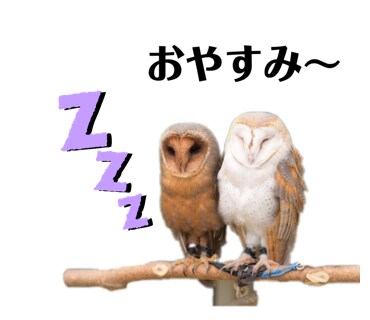 お写真を使って、オリジナルLINEスタンプ作ります 出来上がりのイメージを共有し、使いやすいスタンプを作成します イメージ4